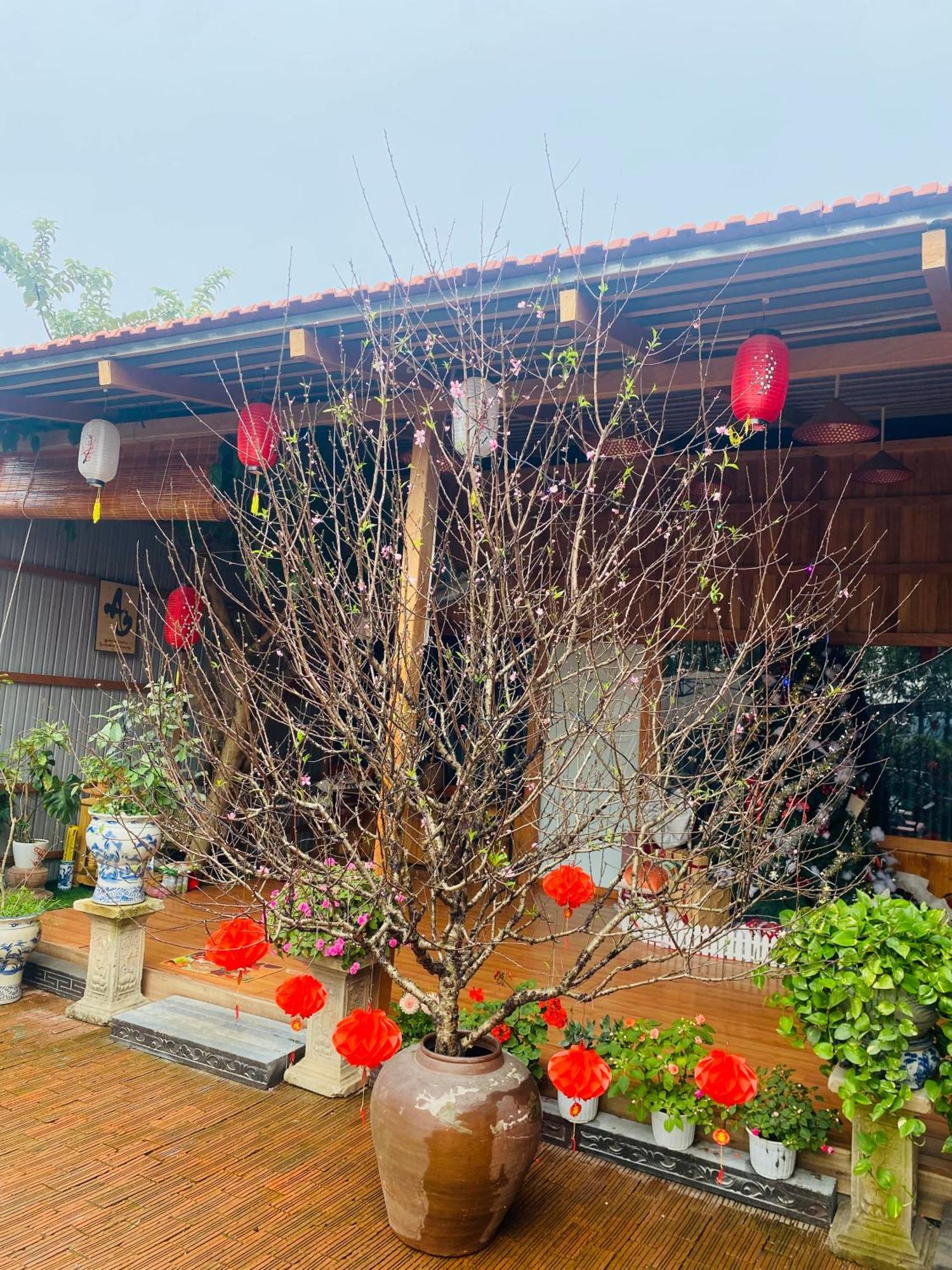 An Homestay Tam Coc Ninh Binh Bagian luar foto