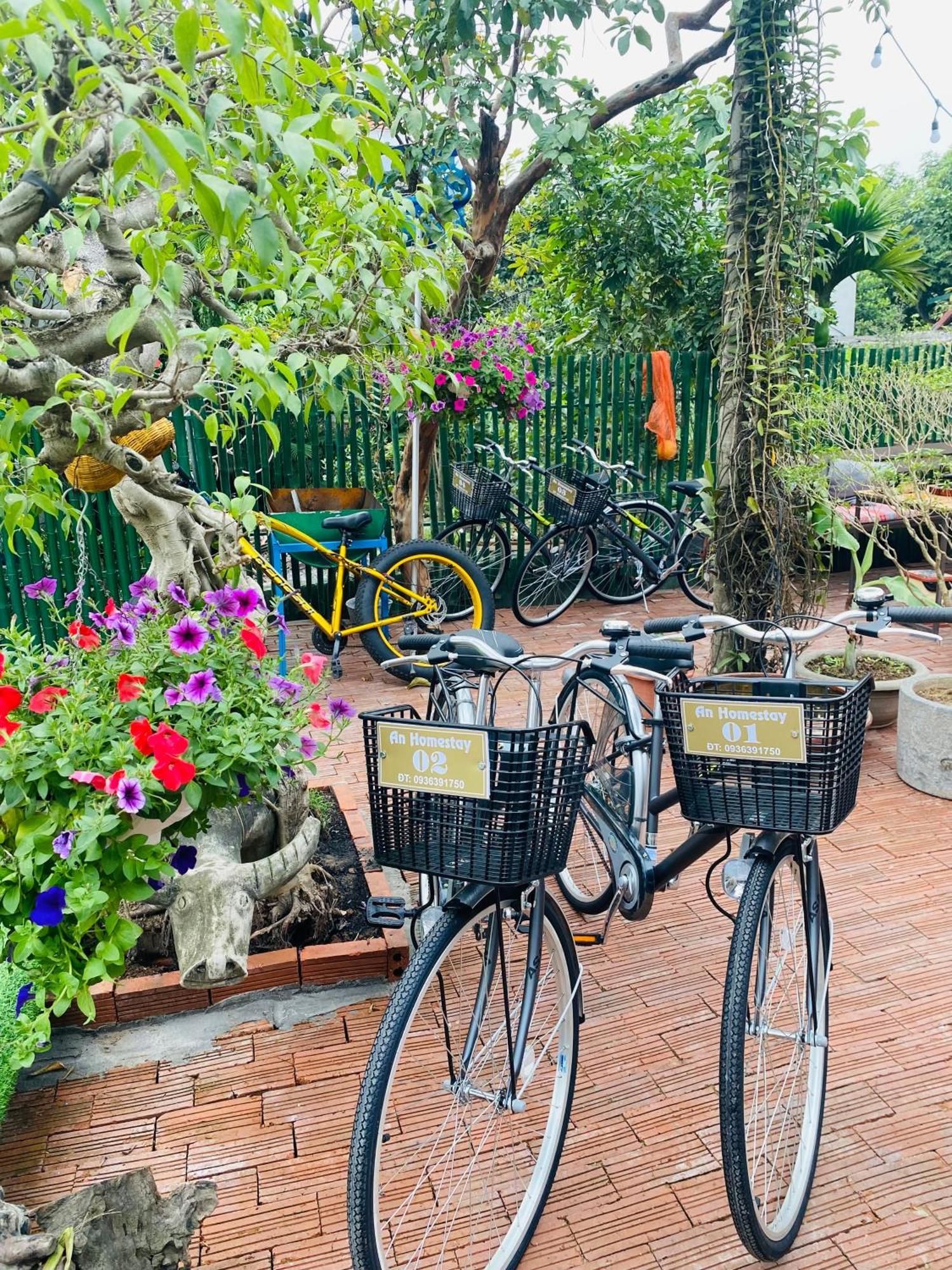 An Homestay Tam Coc Ninh Binh Bagian luar foto