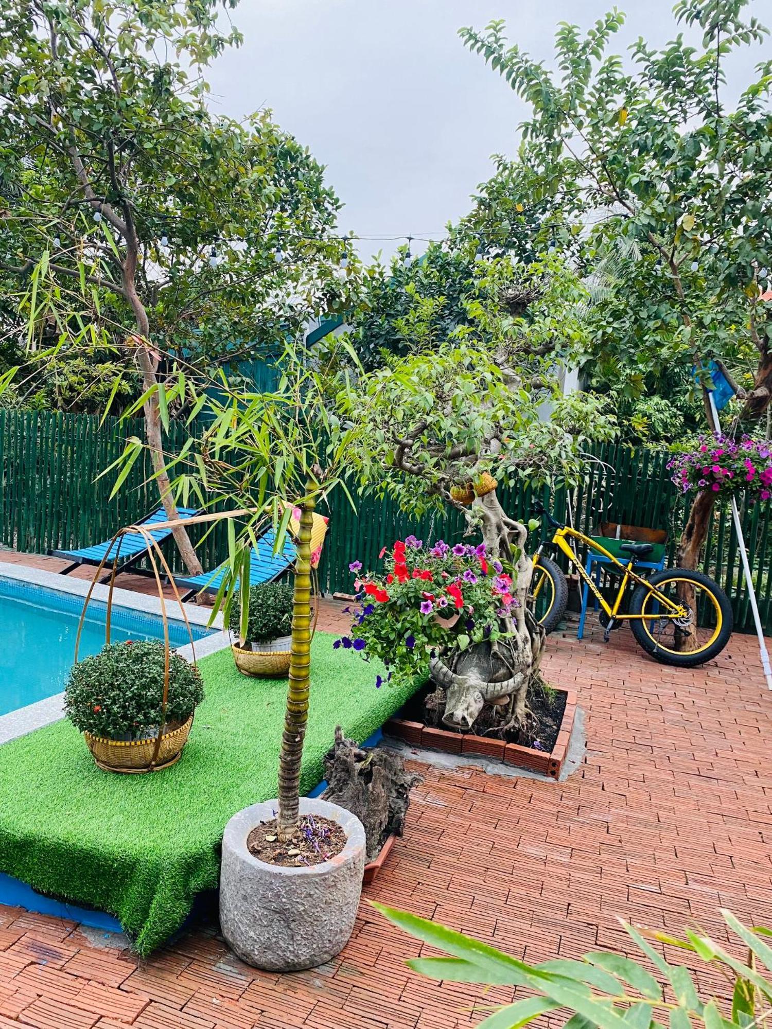 An Homestay Tam Coc Ninh Binh Bagian luar foto