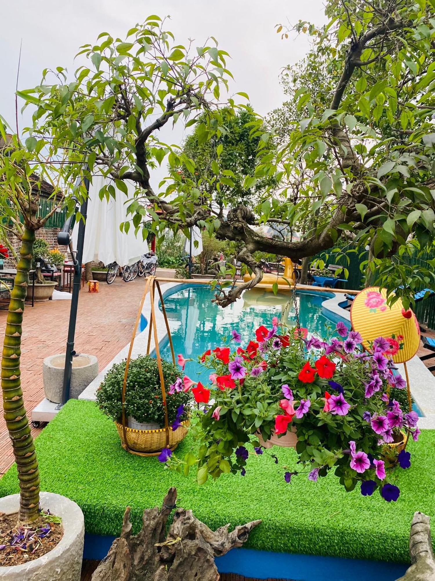 An Homestay Tam Coc Ninh Binh Bagian luar foto